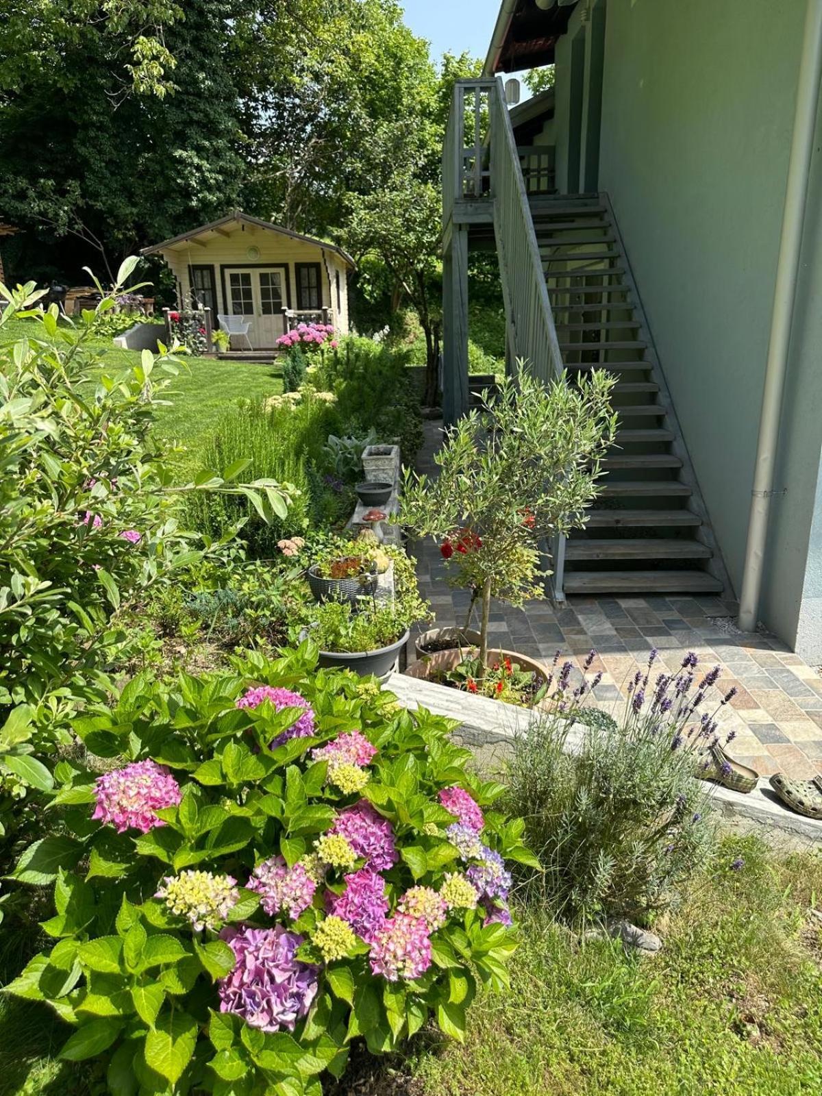 Apartamento Lizmari Podčetrtek Exterior foto